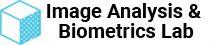 IAB Lab